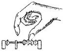 zumor004