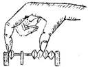zumor009